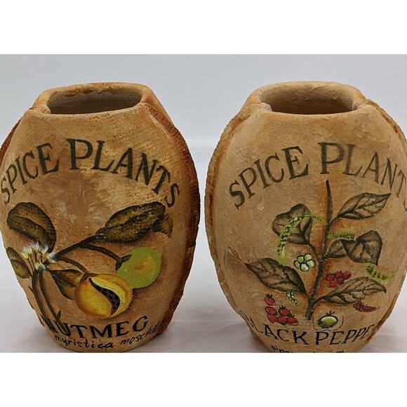 Spice Plants Jars Pair Nutmeg Myristica Moschata Black Pepper Piper Philippines - Picture 2 of 11